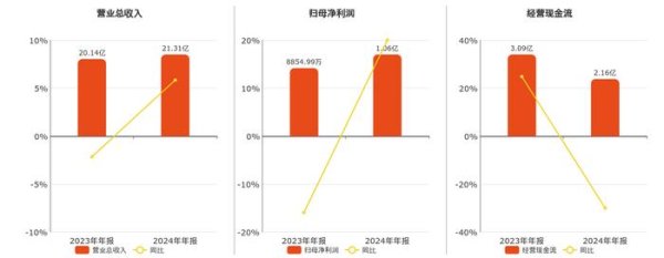 工程配资 大胜达(603687.SH)：2024年年报净利润为1.06亿元