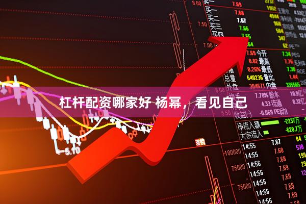 杠杆配资哪家好 杨幂，看见自己