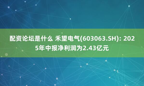 配资论坛是什么 禾望电气(603063.SH): 2025年中报净利润为2.43亿元